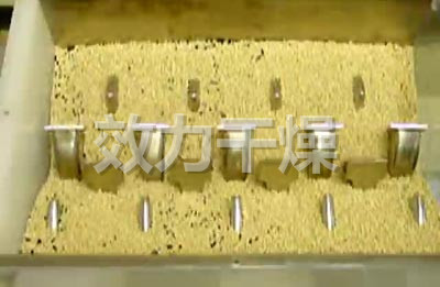 化工污泥干化设备